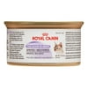 Royal Canin Feline Health Nutrition Spayed/Neutered Thin Slices in Gravy Wet Cat Food, 3 oz