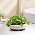 thumbnail image 2 of Dtchengua 7 Inch Ceramic Bonsai Pots with Drainage Hole, Shallow Planter for Indoor Outdoor, Round Planter, Cactus Pot, Office Decor for Plant Lovers,White, 2 of 6
