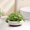 White, variant on Indoor Home office Tabletop Decor Pot, Large Vintage Distressed Ceramic Planter, Multipurpose Plant Vessel for Cultivating s and Trailing Pothos