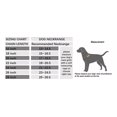 thumbnail image 2 of Collar Estrangulador De Adiestramiento Para Perros Con Caden, 2 of 8