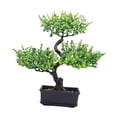 thumbnail image 3 of Bonsái artificial, planta falsa en maceta, multiusos, decorativa, artificial Verde, 3 of 9