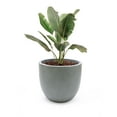 thumbnail image 5 of Light Gray MgO Round 12.2in. H Outdoor Planter, 5 of 7
