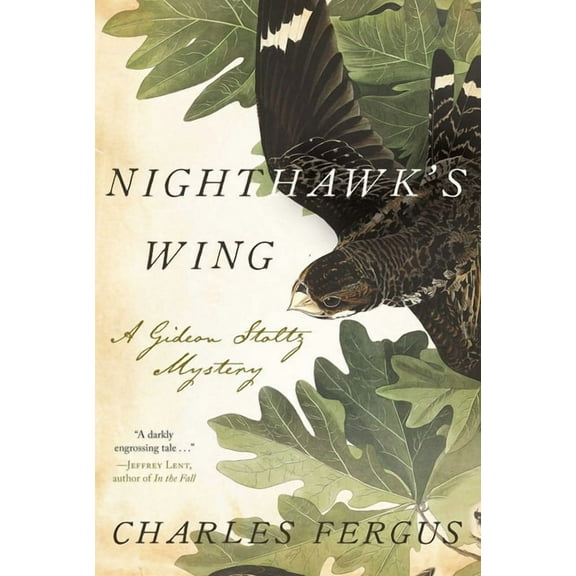 Nighthawk's Wing: A Gideon Stoltz Mystery, (Hardcover)