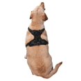 thumbnail image 2 of Naloa Dinosaur Pet Harness Vest with Traction Rope, Adjustable No-Choke Dog Vest for Outdoor, Walking - Large, 2 of 4