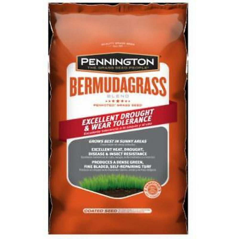 Pennington 5 LB Premium Bermuda Grass Blend Seed Mixture Thick