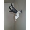 thumbnail image 2 of Buck Bracket - European Deer Skull Mount Hanger by Skull Bracket, Bronze, 2 of 8