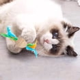 thumbnail image 4 of 2Pcs Interactive Cat Toys for Indoor Cats, Cat Ball Toy with Colorful Feathers, Cat Teeth Grinding Teeth Cleaning Toys, 4 of 5