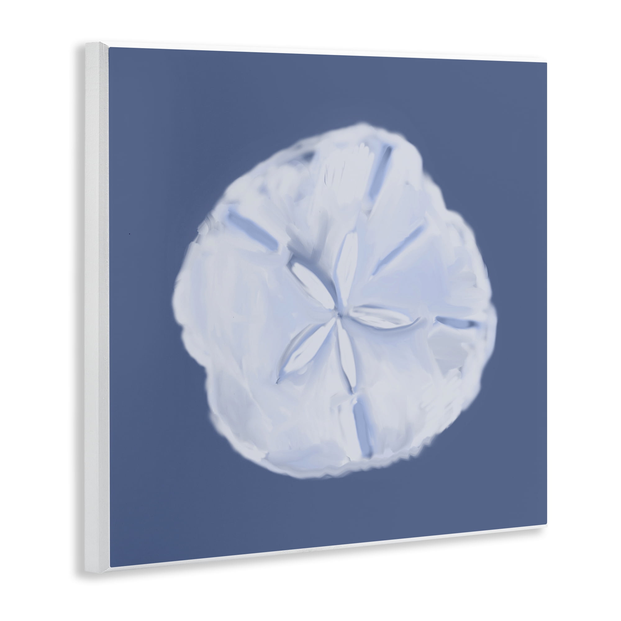 Stupell Industries Blue Nova Sand Dollar Animals & Insects Painting Unframed Art Print Wall Art, 12 x 12