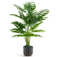 thumbnail image 1 of Planta artificial Der Rose Monstera de 70 cm de altura con maceta, 1 of 6