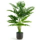 thumbnail image 1 of Planta artificial Der Rose Monstera de 70 cm de altura con maceta, 1 of 6