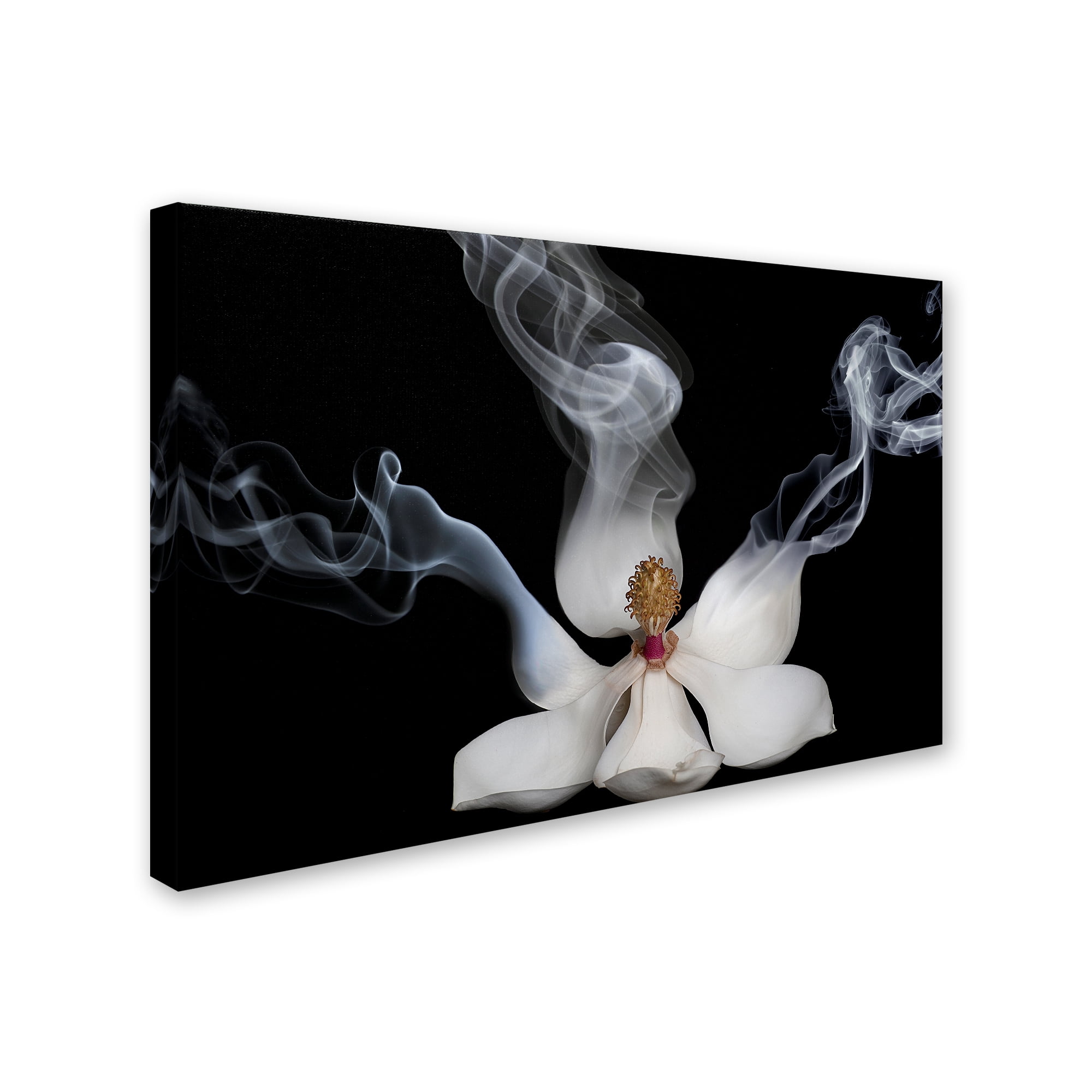 Trademark Fine Art 'Smoking Magnolia' Canvas Art by Lori Hutchison