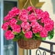 thumbnail image 4 of Flores artificiales de geranio Turnmeon para decoración de exteriores, 4 unidades, 4 of 9