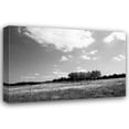 thumbnail image 1 of Alan Hausenflock 44x31 Gallery Wrapped Canvas Wall Art Titled - Tree Line I, 1 of 4