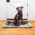 thumbnail image 2 of Qxltty Black Dragons Ped Pad Wear-resistant and Hard to Bite Through Sleeping Pad for Small Medium Large Dogs Winter Pet Bed 24×18in, 2 of 6