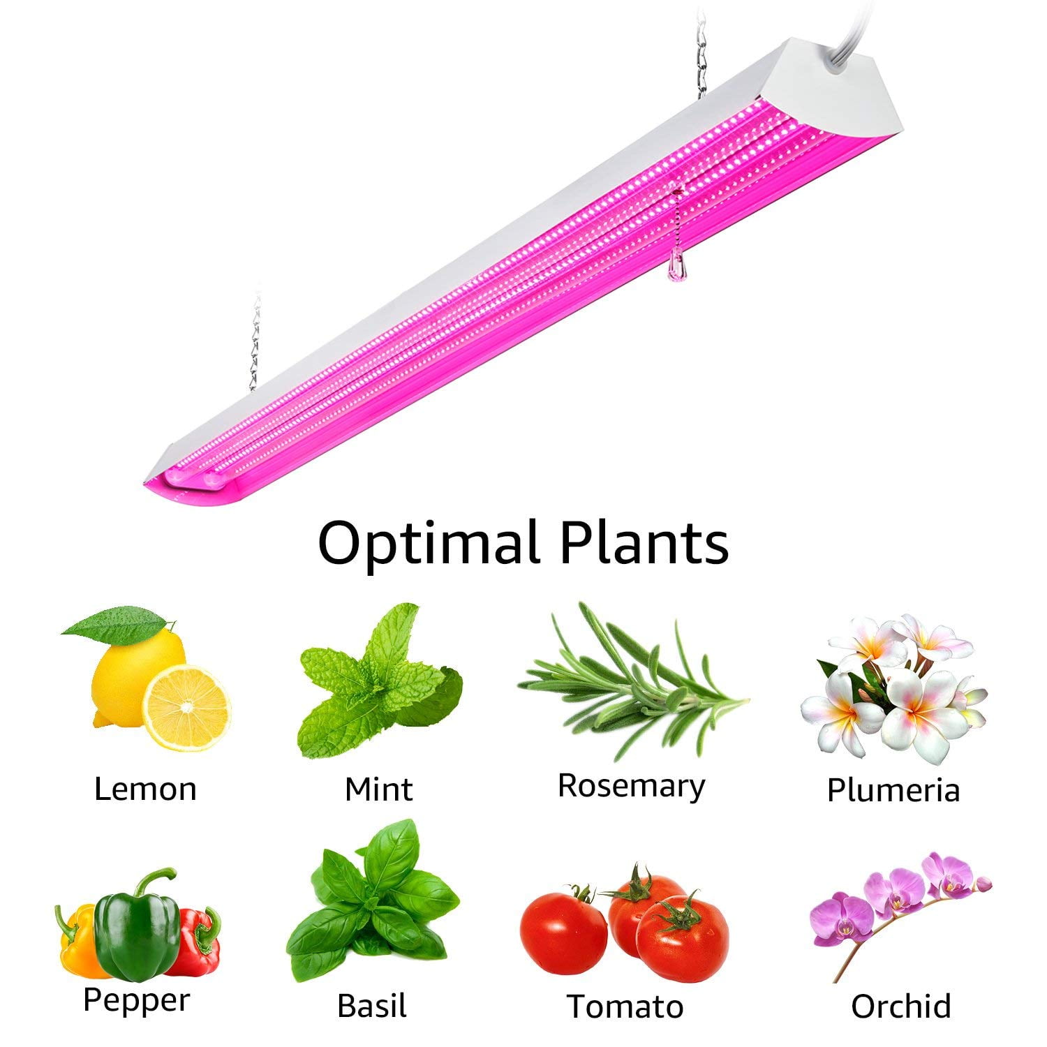Hydroponics & Seed Starting Supplies LEONLITE 48W LED Grow Light Bulb
