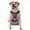 Without Accessories, variant on Vsdgher Colorful Glitter Rainbow Pattern Dog Harness,No Pull Pet Harness with Soft Padded Handle,Adjustable Reflective Vest with 2 Buckles,4 Slide Buckles,S-XL
