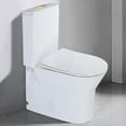 thumbnail image 2 of WinZo Small 23 inch One Piece Toilet with 10 inch Rough-in Compact For Compact Short Bathroom,White with Golden Button, 2 of 6