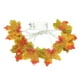 thumbnail image 1 of Decoración de Halloween Decoraciones de Halloween 1,5 M 10LED iluminado otoño Hojas de arce guirnalda decoración de Halloween, 1 of 2