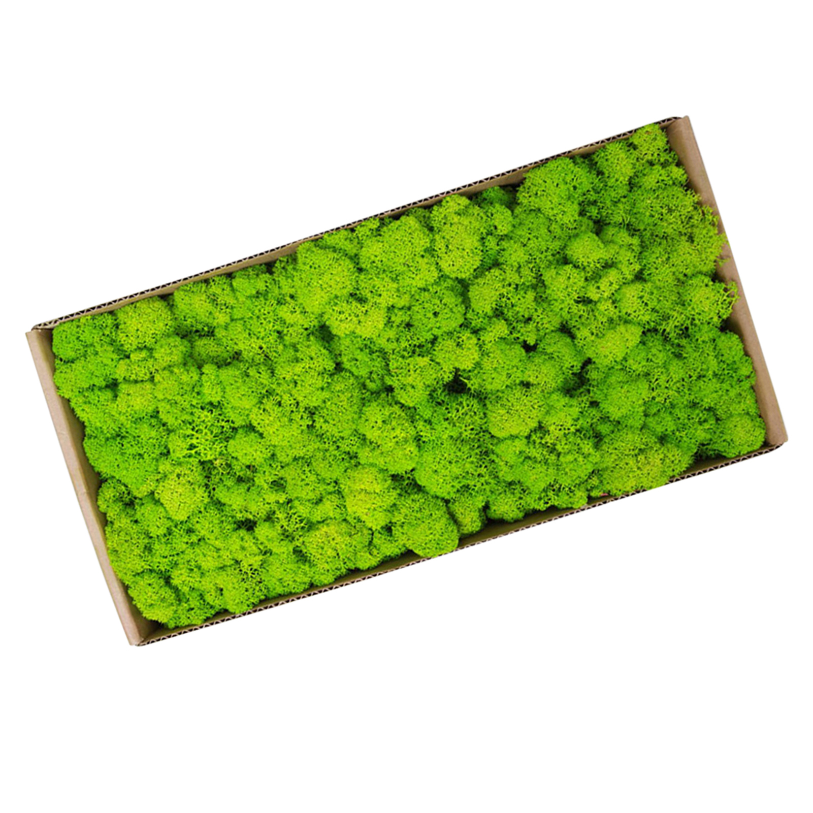 Moss Wall Decor Indoor Preserved Moss Gardenning Art Wall Decor Moss Bulk Micro Landscape Decorative Props