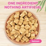 puddonio-salmon-freeze-dried-cats-and-dogs-treats-3-5-oz-walmart