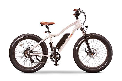 lightweight electric bike