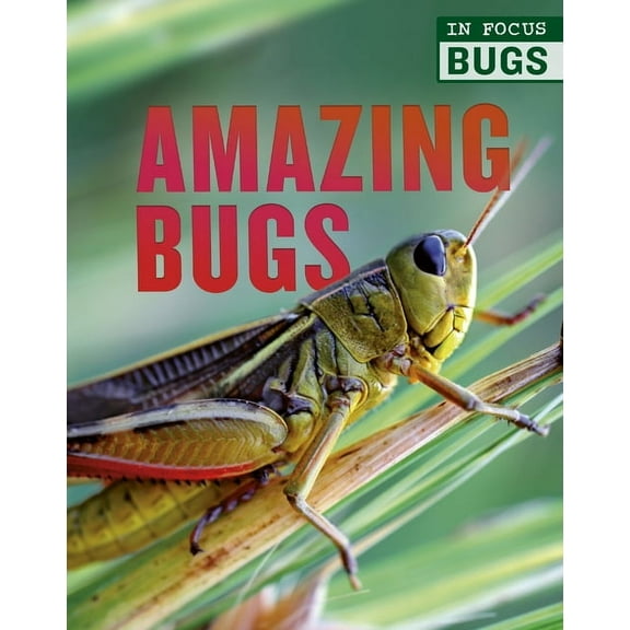 In Focus: Bugs Amazing Bugs, (Hardcover)
