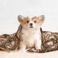 thumbnail image 4 of Yiaed Beautiful Owl Print Dog Blankets-Cat Blanket Washable for Couch Protection,Puppy Blanket, Soft Plush Reversible Throw Furniture Protector-Medium, 4 of 8