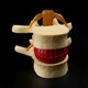 thumbnail image 2 of 2X Lumbar Vertebrae Model Anatomical Spine Lumbar Disc Herniation Anatomy Teaching Tool Lumbar Vertebrae Model, 2 of 5