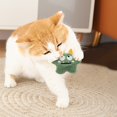 thumbnail image 3 of Adorable Interactive Stuffing Cute Plaything For Indoor Cats Entertainment, 3 of 4