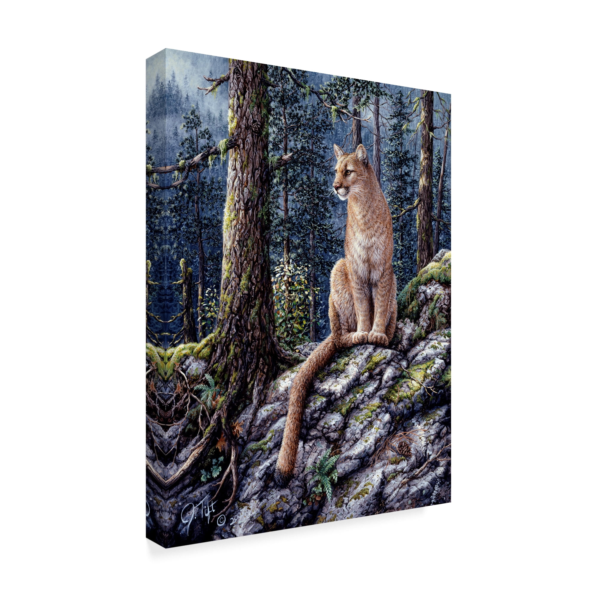 Trademark Fine Art 'King Of The Forest' Canvas Art by Jeff Tift