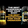 thumbnail image 5 of AXE Fine Fragrance Collection Premium Deodorant Body Spray For Men Golden Mango, 4 oz, 5 of 10
