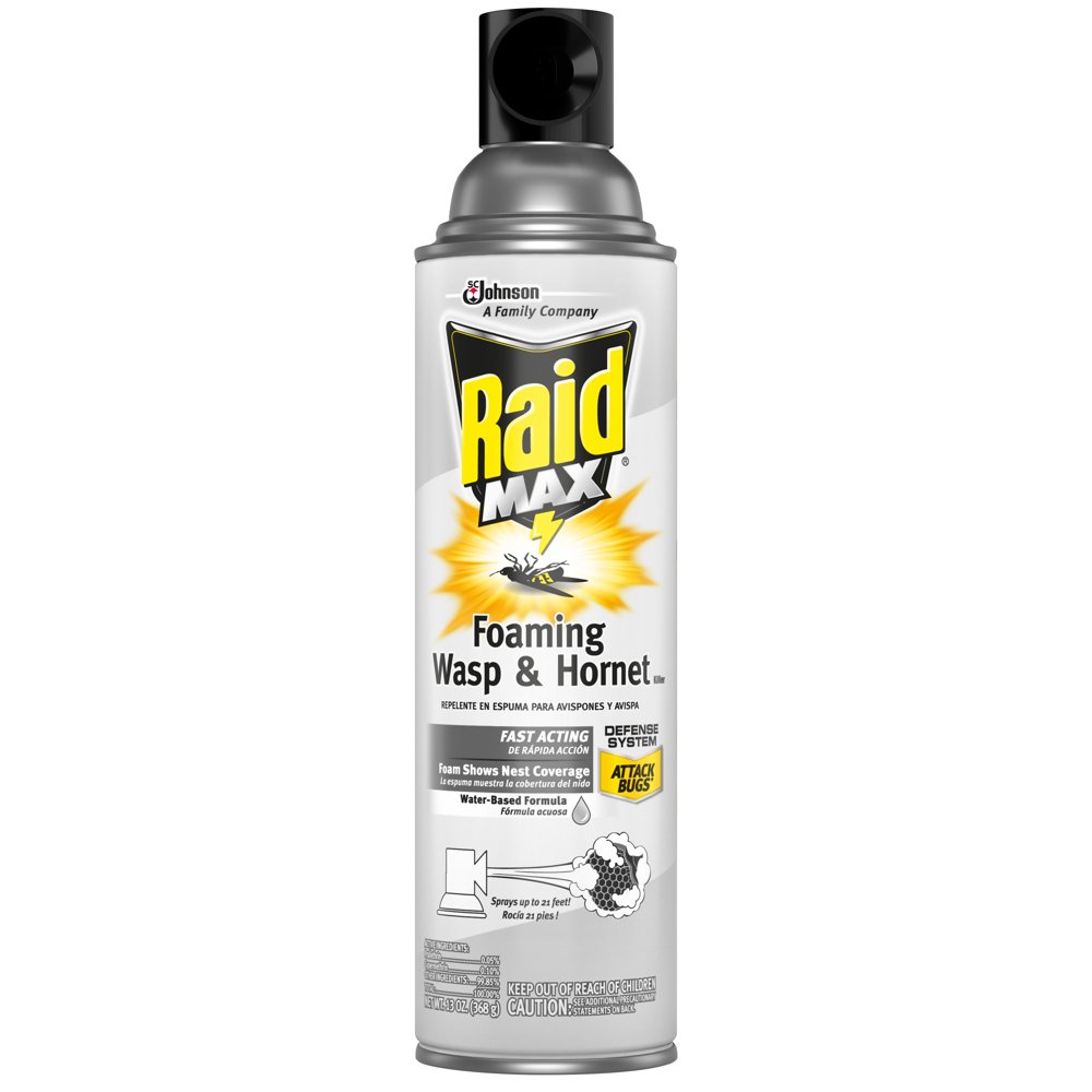 Raid Max Foaming Wasp & Killer, 13 oz