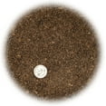 thumbnail image 4 of ⭐ PREMIUM Natural Sphagnum Peat Moss - Gardening Soil Amendment and Carnivorous Plant Soil Media by ://N ★ LOVA - (4 Quart Bag), 4 of 7