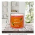 thumbnail image 4 of Vela Mainstays Mandarina 420 G, 4 of 4