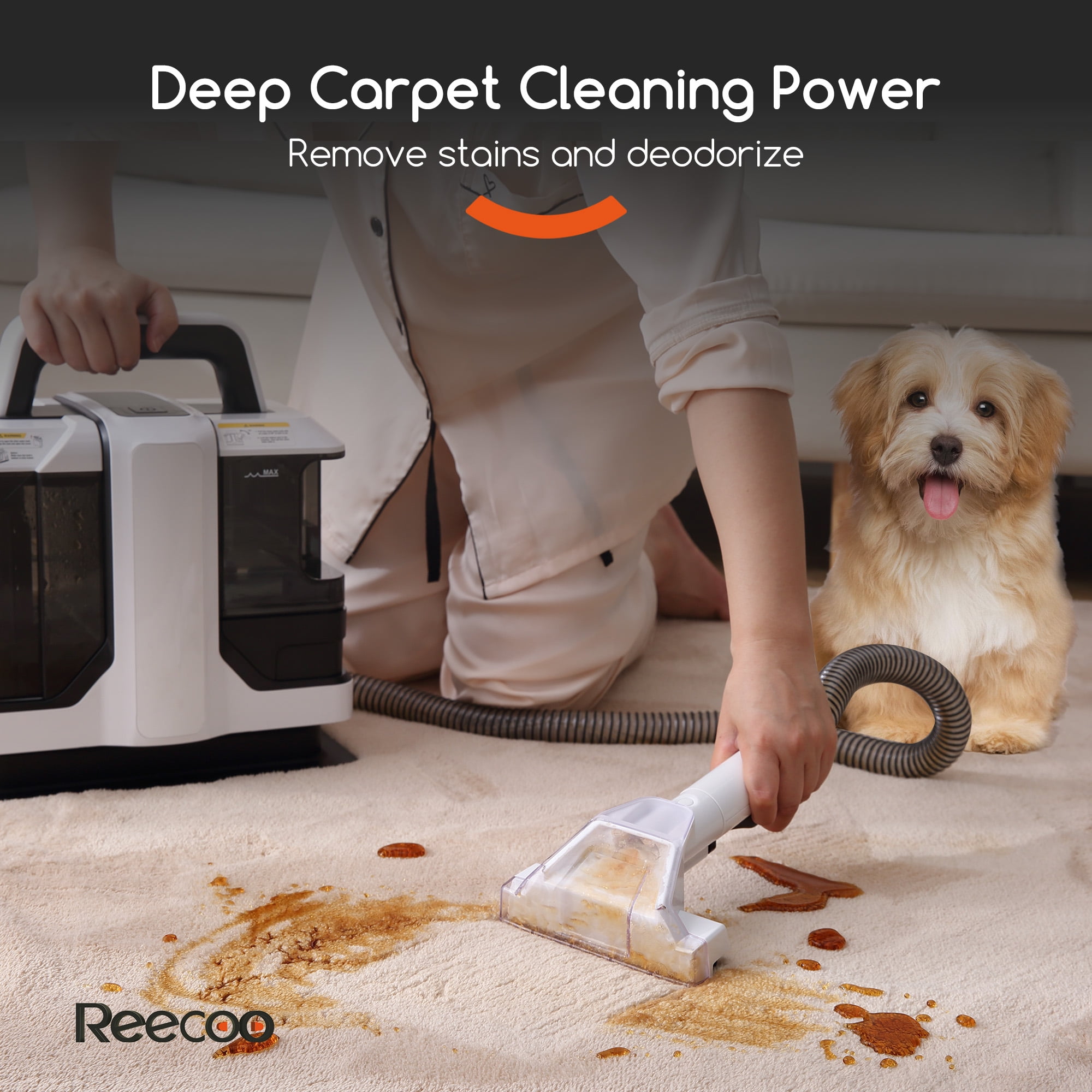 Reecoo Spray Machine, Portable Deep Vacuum Cleaner for Remove Carpet, Sofa and Curtains Pet Spot, W1, Black