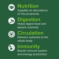 thumbnail image 6 of Vibrant Health, Green Vibrance, Version 17.0, 240 VegiCaps, 6 of 9