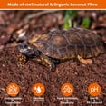 thumbnail image 3 of Sustrato de fibra de coco Riare para reptiles, paquete de 2, 500 g, 3 of 8