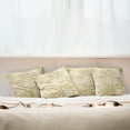 thumbnail image 3 of Ambesonne Spring Throw Pillow Cover 4 Pack, Roses and Butterflies, 20", Mode Beige, 3 of 6