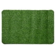 thumbnail image 1 of AMERTEER 1pc Artificial Turf Carpet Welcome Door Mat Floor Mat Entrance Dirt Trapper, 1 of 10