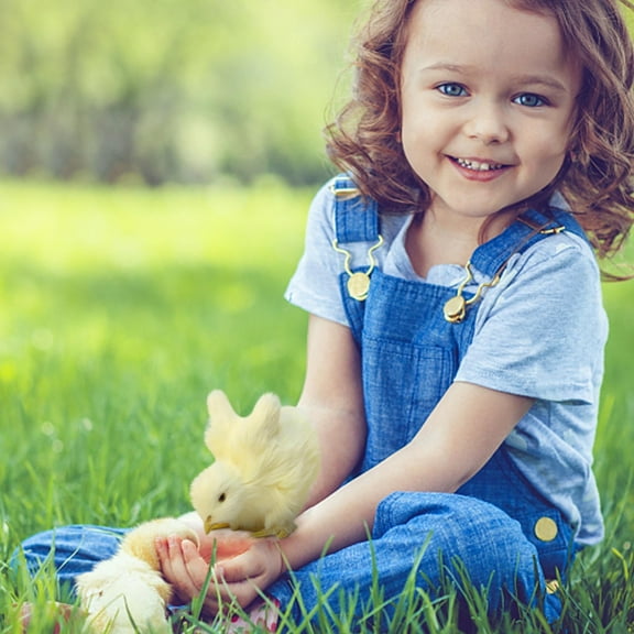 JilgTeok Imitation Chicken Plush Toy Doll Children's Teaching Easter Model Chicken Model Decoration