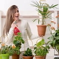 thumbnail image 4 of Outdor Natural Climbing Support Indoor Outdoor Garden Vine For Potted Decorative Climbing, 4 of 4