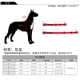 thumbnail image 5 of Collares para mascotas con hebilla doble en D, de nailon, a prueba de explosiones, para perros grandes y pequeños, collares para el cuello de osito de peluche y husky, 5 of 5