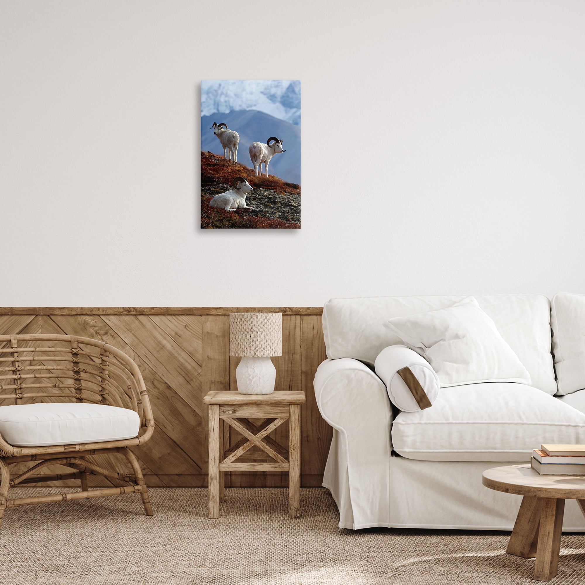 Stupell Industries Dall Sheep on Cliff Landscape & Nature Photography Wrapped Canvas Art Print Wall Art, 16 x 24