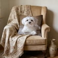thumbnail image 6 of Pillows for Couch, Spring Cute Pet Patterns Cushion Cover Soft Throw Pillow Cover For Sofa And Chair Ideal Choice For Spring Easter Sofa And Bedroom Decoration, 6 of 6