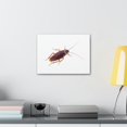 thumbnail image 3 of Majestic Cockroach Art Majestic Cockroach Print Animal Wall Art Wildlife Canvas Prints Wall Art Ready to Hang Unframed, 3 of 18