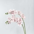 thumbnail image 4 of Artificial Phalaenopsis Orchid Branch, 9 Flower Heads, 27" Tall Multi-Colored Silk Orchids, for Living Room Floor Vase, Entrance Decor, Wedding Bouquets, Phalaenopsis Orchid * 1 Stem, 4 of 6