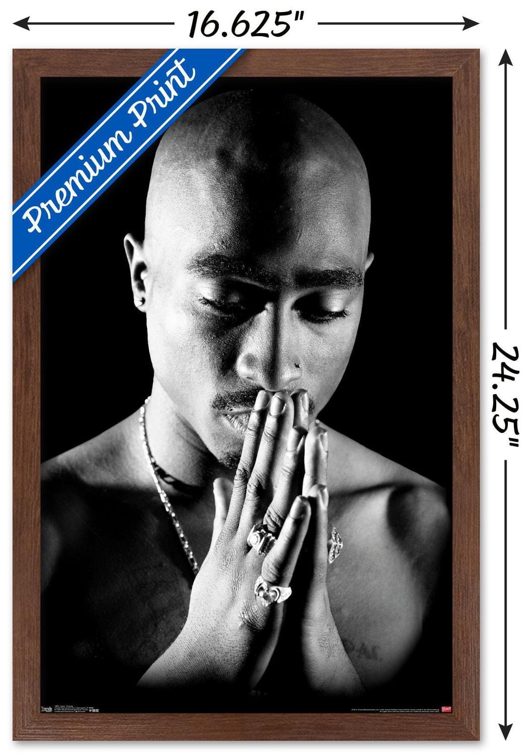 Tupac - Praying Wall Poster