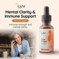 LUV Health Flow Drops Mushroom Supplement, Lion’s Mane, 30 Servings (3 ...
