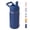 Blue, variant on Daluvenix 12 oz Kids Water Bottle, Toddler Water Bottle 2-in-1 Straw and Chug, Stainless Steel Insulated Bottle for Kids, BPA-Free, Leak-Proof, Pink