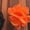 Z140 Orange, variant on Landzoo Halloween Toddler Girls Dress Floral Print Sleeveless Crew Neck Comfortable Dresses For Girls Size 3-4 Years